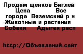 Продам щенков Биглей › Цена ­ 15 000 - Все города, Вяземский р-н Животные и растения » Собаки   . Адыгея респ.